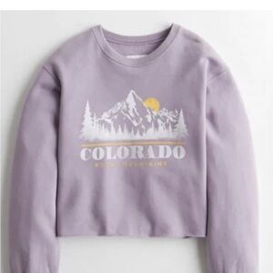 Hollister purple sweatshirt